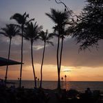 Lava Lava Beach Club - 