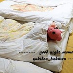 湯喜望 白扇 - -good night momo---
