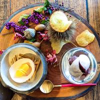 Terroir愛と胃袋 - 