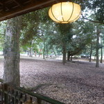 江戸三 - 部屋から、外をパチリ！