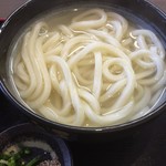手打ちうどん 大蔵 - 釜揚げうどん 小