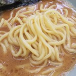 横浜家系ラーメン 田中 - 酒井の麺はやっぱり気持ち細め。