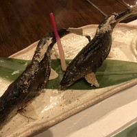 柳家錦 - 