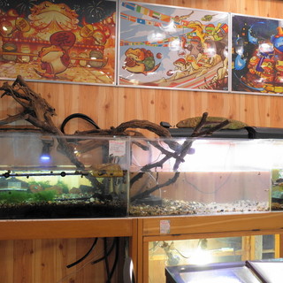 横浜亜熱帯茶館_2