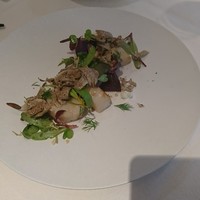 Terres de Truffes, Tokyo - 帆立 ビーツ フロマージュブラン