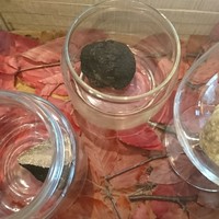 Terres de Truffes, Tokyo - 左から秋トリュフ(サマートリュフ)、黒トリュフ、白トリュフ