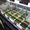 抹茶ジェラート専門店 telato