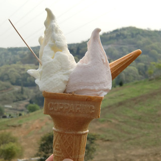 まつだ牧場ミルク工房_0