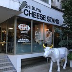 SHIBUYA CHEESE STAND - 