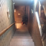 壹眞珈琲店 - 地下への階段