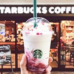 スターバックス・コーヒー ちゃやまちアプローズタワー店