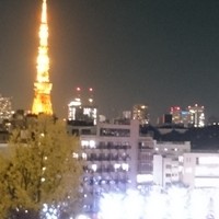 オッジ ダルマット 西麻布店 - 
