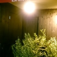 オッジ ダルマット 西麻布店 - 