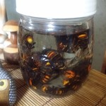 かたつむり - オオスズメバチ