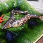 かたつむり - 落ち鮎塩焼き