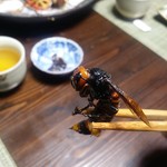 かたつむり - オオスズメバチ