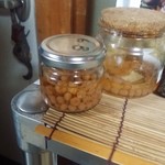 かたつむり - イワナシ