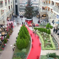すし屋のさい藤 札幌本店 - 