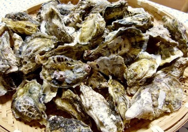 Chaleur Dojima photo 2