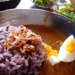 JMZ - 黒米のカレー＾＾ 2011APR29