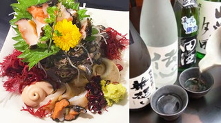 旬菜ダイニング 新 - 