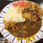 すき家 - 牛あいがけカレー ミニ 570円。