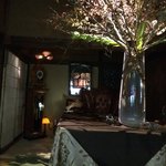 オジーノカリーヤ - 