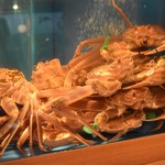 鮮度抜群！生け簀の「間人蟹」をお好きな食べ方で。（時価）