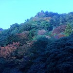 月光園 鴻朧館 - ロビー喫茶から