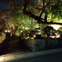 桜下亭 - 