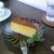 パティスリーカフェ ポッシュ - 料理写真:カボチャチーズケーキ