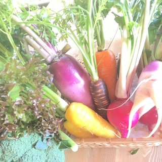 アルビコッカ_2