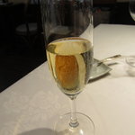 シャトン - シャンパン　グラス