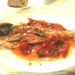 TomTom 錦糸町店 - 3,990円コースのメイン（お好みの魚料理又は肉料理）一人分！