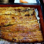 ゆうすげ - うな重松：3,850円