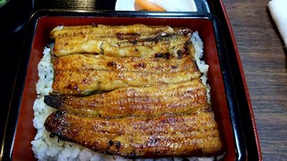ゆうすげ - うな重松：3,850円