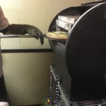 ピッザピッザピッザ - 