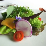 ヴィラ・デル・ソル - 朝食のサラダ。野菜本来の辛み、苦味、甘味を強く感じます。