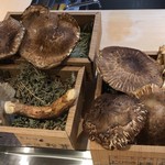 くろぎ - 丹波篠山産松茸がお出迎え