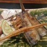 鮨 相澤 - めひかり一夜干し