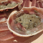 かにじぇんぬ 北新地 - このカニ味噌！！