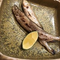 寿司 はせ川 心斎橋本店 - 