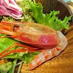 R-SHRIMP - 3種の海老食べ比べ