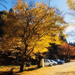 姫のそば ゆかり庵 - 境内