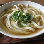 Menkui - かけうどん150円