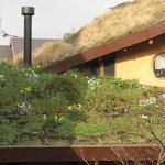 リリエンベルグ - 屋根にも草花が咲いています　10.03.03.