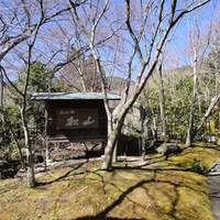 松山閣 松山 本店 - 