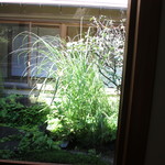 イチリン ハナレ - 