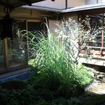 イチリン ハナレ - 