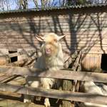 ペンション もみの木 - 